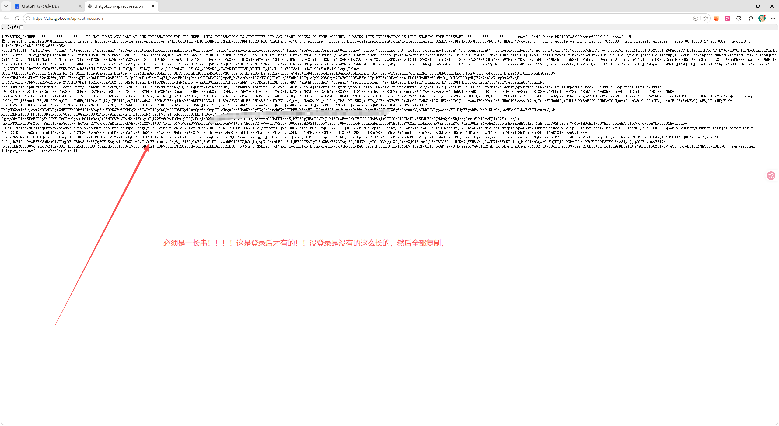 步骤2：chatgpt.com/api/auth/session 页面满屏JSON，登录后全部复制